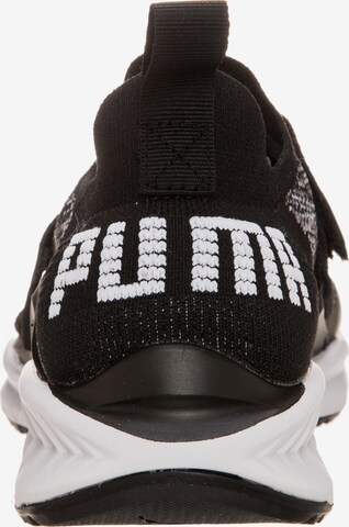 PUMA Sneaker 'Ignite evoKNIT Lo 2' in Schwarz