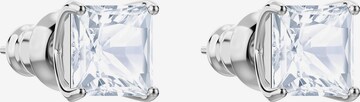 Swarovski Oorbellen 'Attract' in Zilver