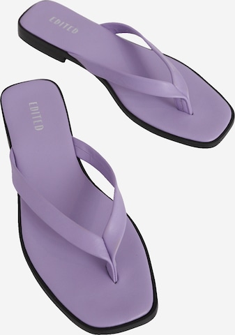 EDITED T-bar sandals 'Mayia' in Purple