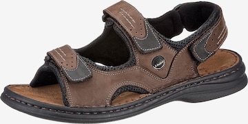 JOSEF SEIBEL Sandals 'Franklyn' in Brown: front