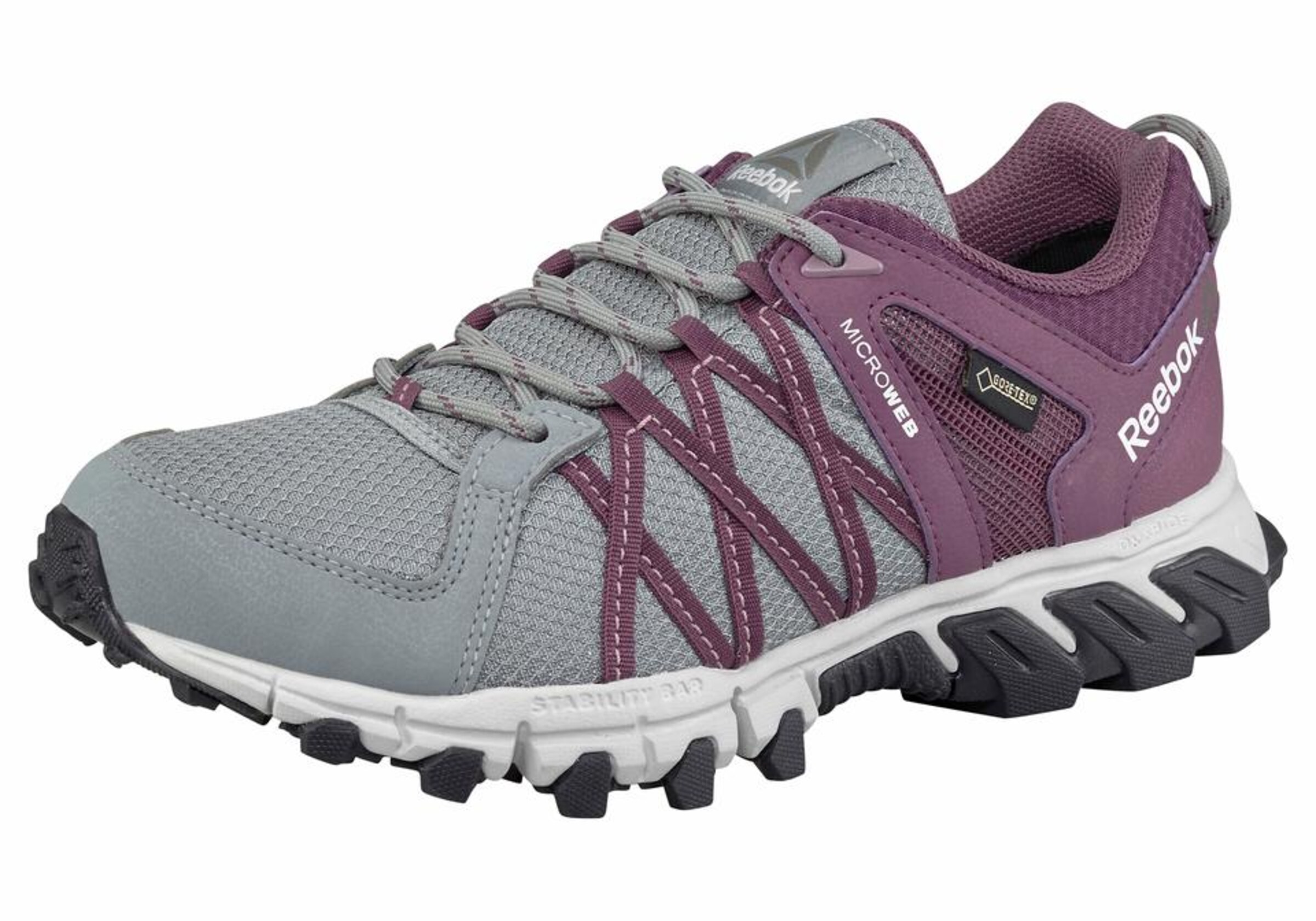 REEBOK - Walkingschuh 'Trailgrip RS 5.0 Goretex' in grau