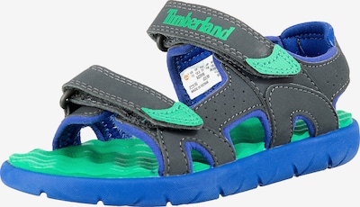 Atviri batai 'Perkins' iš TIMBERLAND, spalva – mėlyna / tamsiai pilka / žalia, Prekių apžvalga