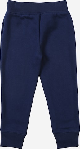 GAP Pants in Blue: back