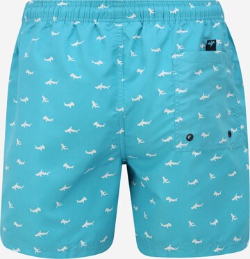 TOM TAILOR Regular Zwemshorts 'Loy' in Blauw