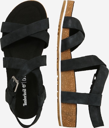 Sandale cu baretă 'Malibu Waves' de la TIMBERLAND pe negru