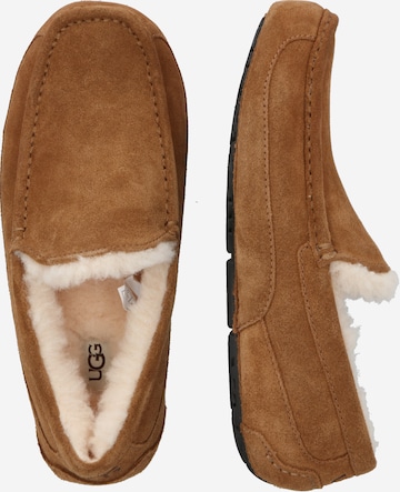 UGG Moccasins 'Ascot' in Brown