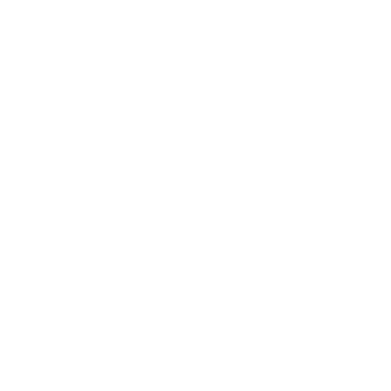 ALVI Logo