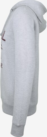 SHINE ORIGINAL Kapuzensweatshirt 'VINTAGEPRINT' in Grau