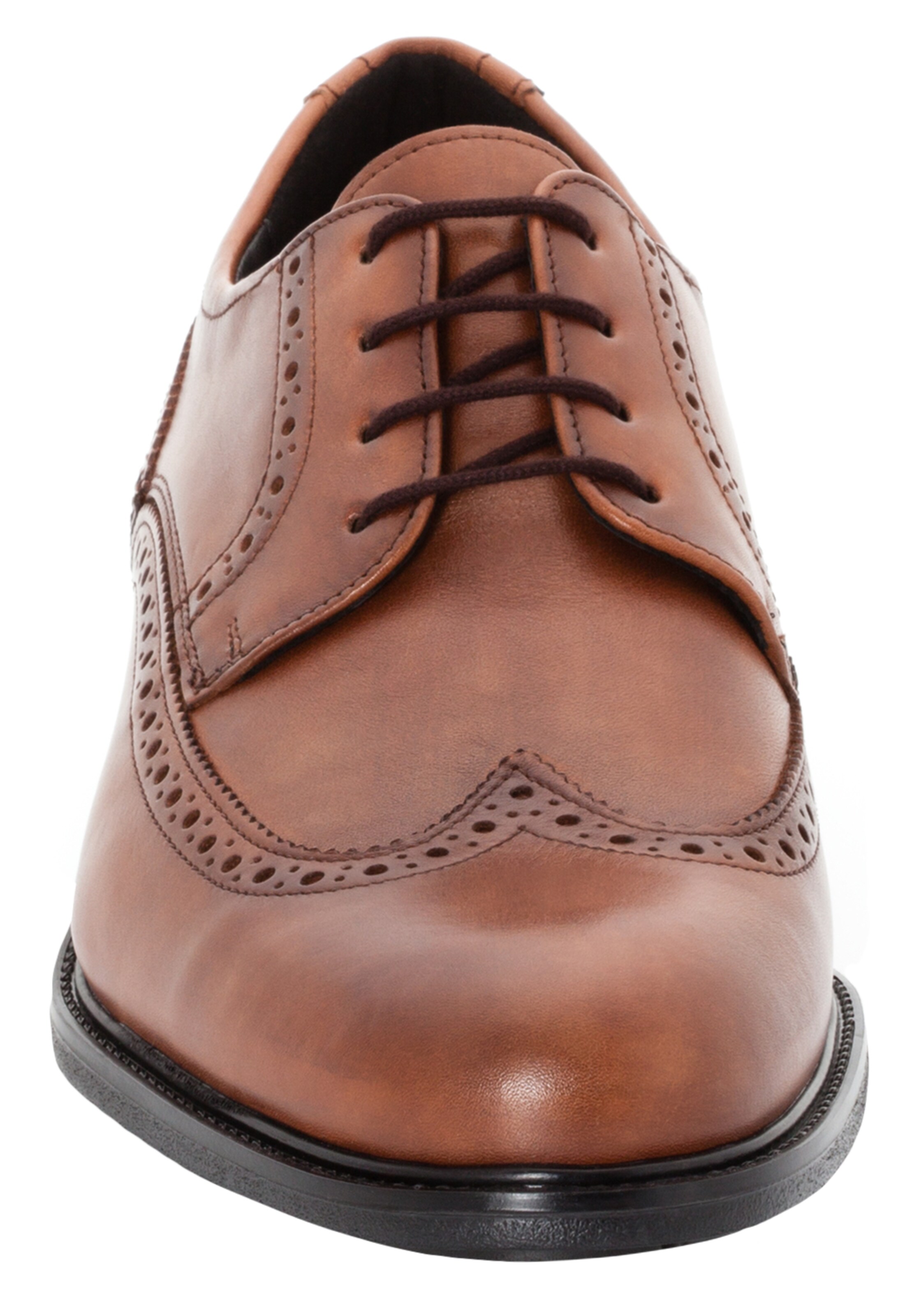 Chaussure à lacets 'Kaleb' LLOYD en marron