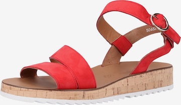 Paul Green Sandalen met riem in Rood: voorkant