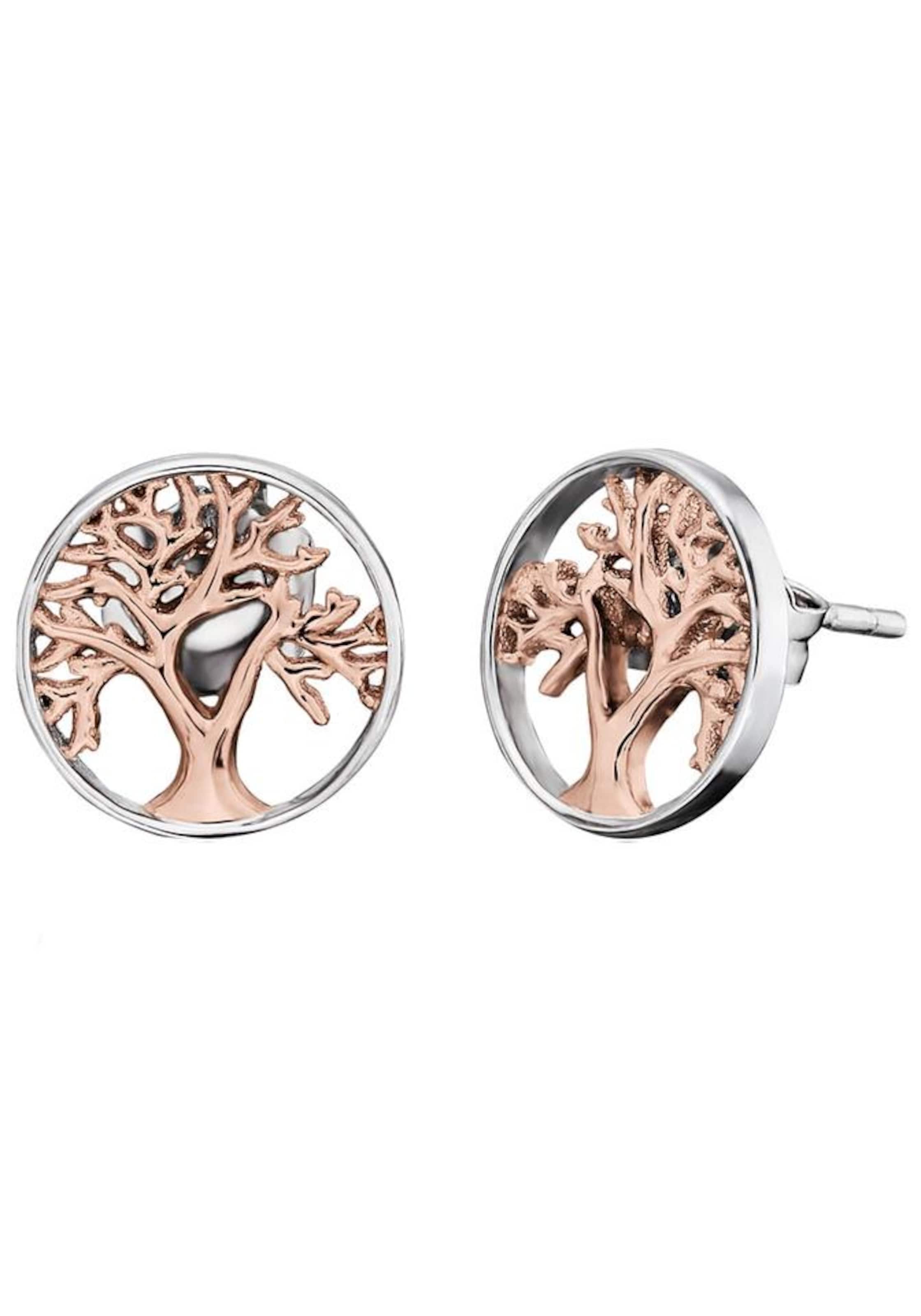 Engelsrufer Earrings in Silver: front