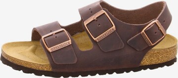 BIRKENSTOCK Szandálok 'Milano' - barna