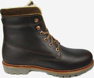 Bottines à lacets PANAMA JACK en marron