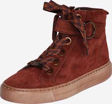ARA Sneaker high 'Portyard 47494' i brun: forside