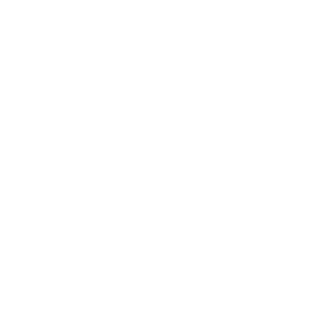 Style Republic Logo