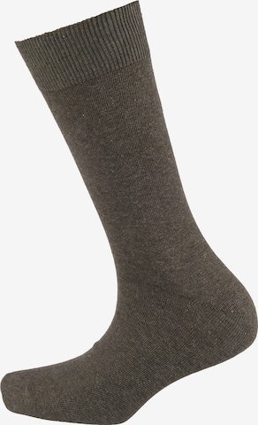 camano Socks in Mixed colors