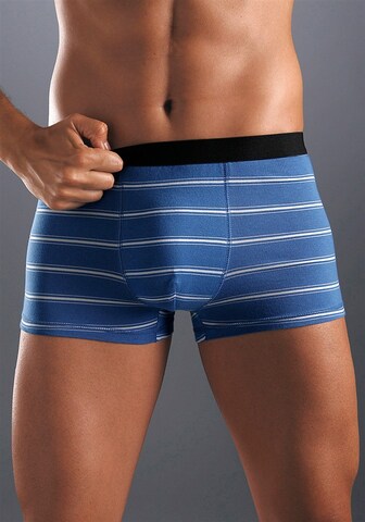 BUFFALO Boxer shorts in Blue: front