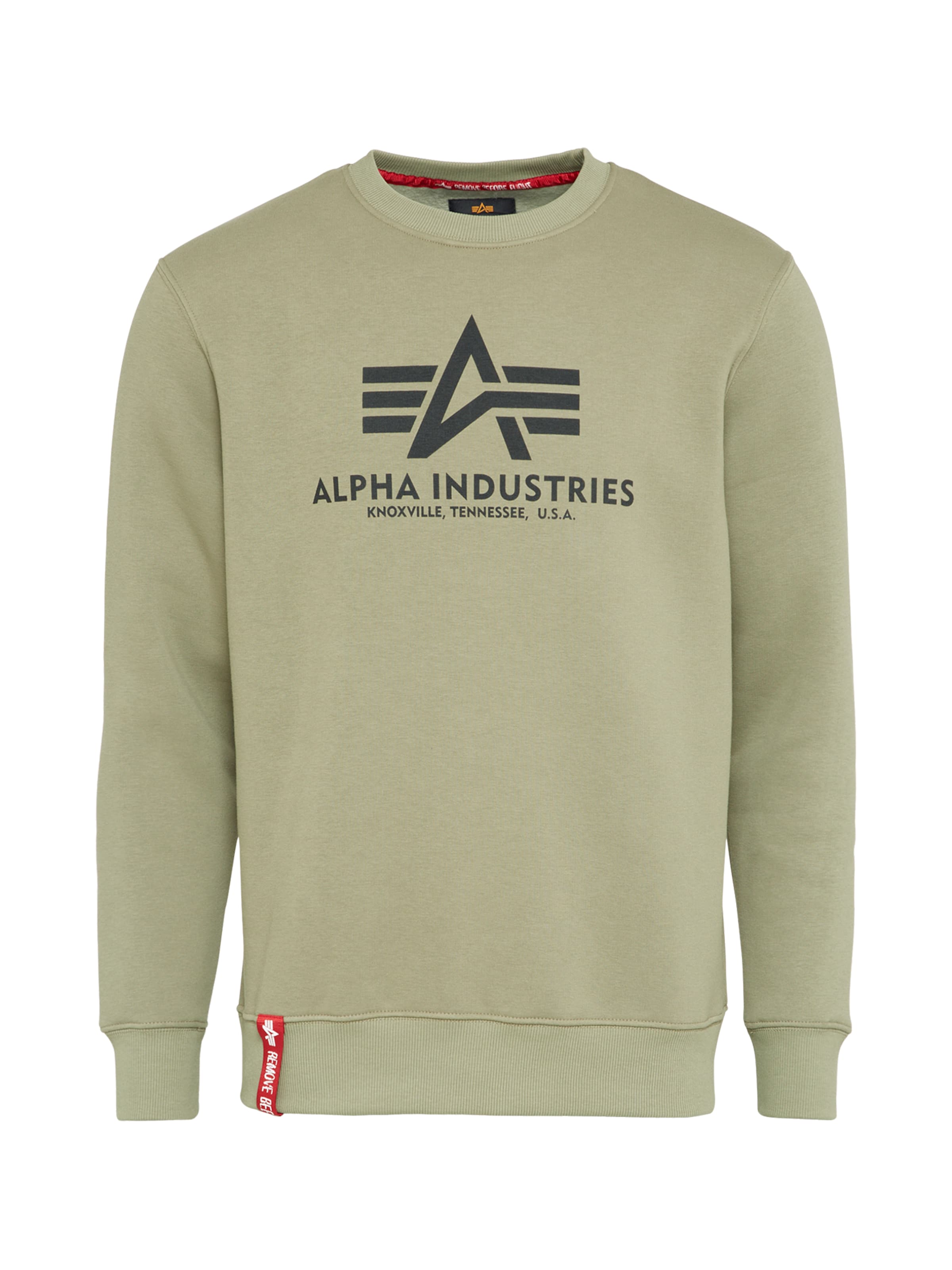 ALPHA INDUSTRIES Sweatshirt in Green: front