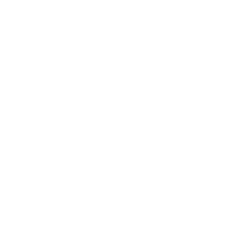 Twisted Tailor Logo