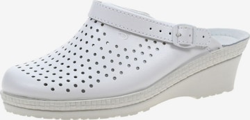 ROHDE Clogs in White: front