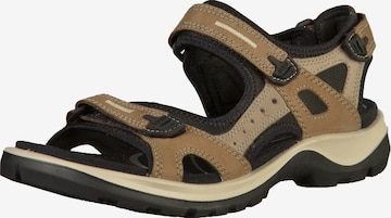 ECCO Wandelsandalen 'Offroad' in Bruin: voorkant