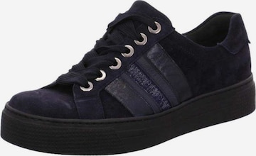 SEMLER Sneakers in Blue: front