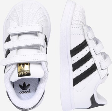 Baskets 'Superstar' ADIDAS ORIGINALS en blanc : sur le côté