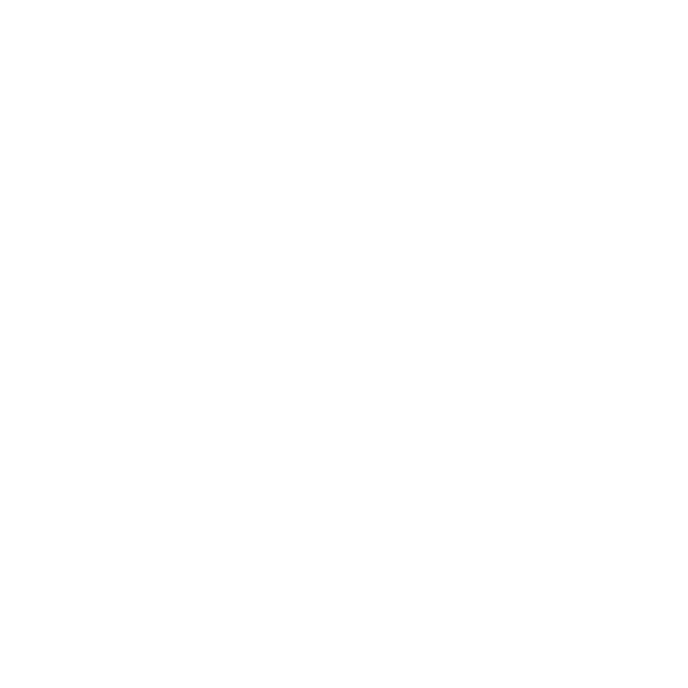 RISA Logo