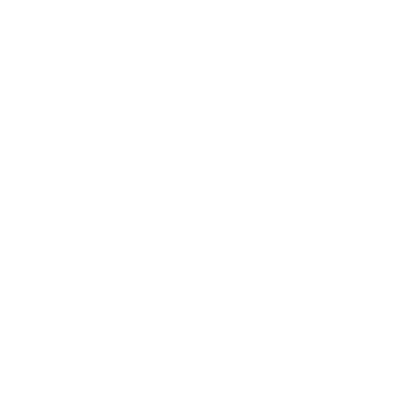 RISA Logo