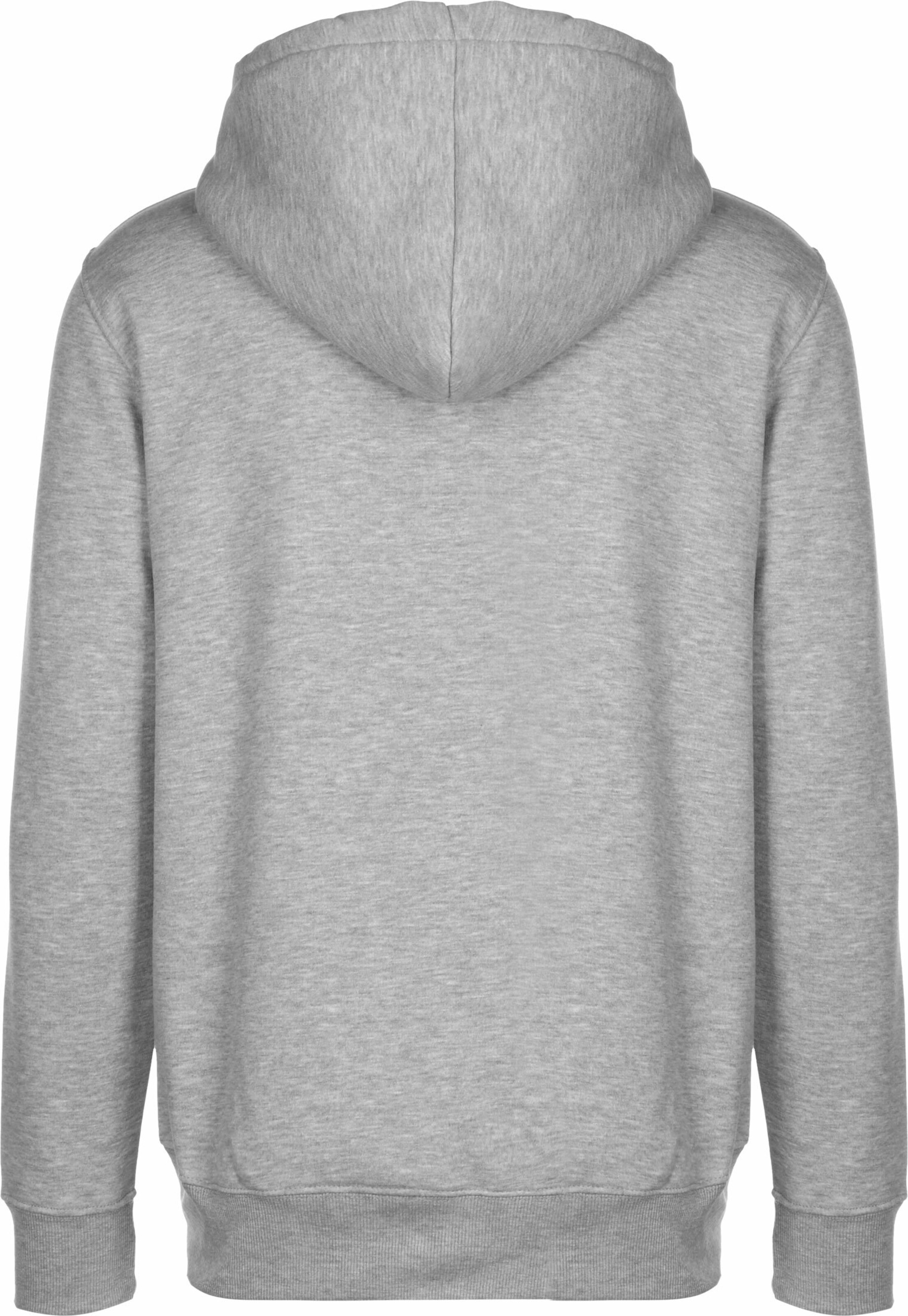 ALPHA INDUSTRIES Μπλούζα φούτερ σε γκρι