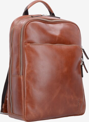 Picard Backpack 'Buddy' in Brown