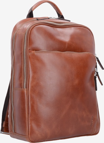 Picard Rucksack 'Buddy' in Braun