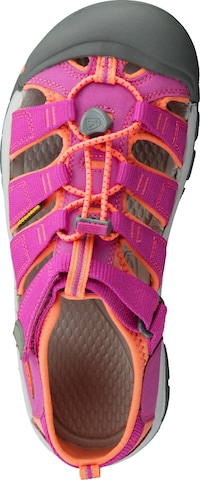 KEEN Sandale Newport H2 in Pink