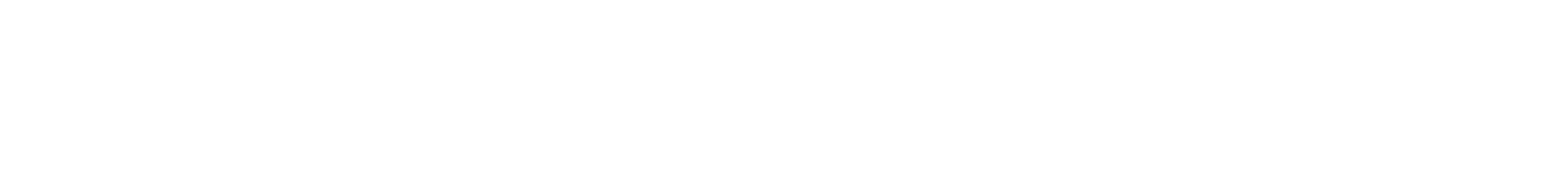 PASSIONATA Logo