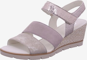 GABOR Strap Sandals in Purple: front