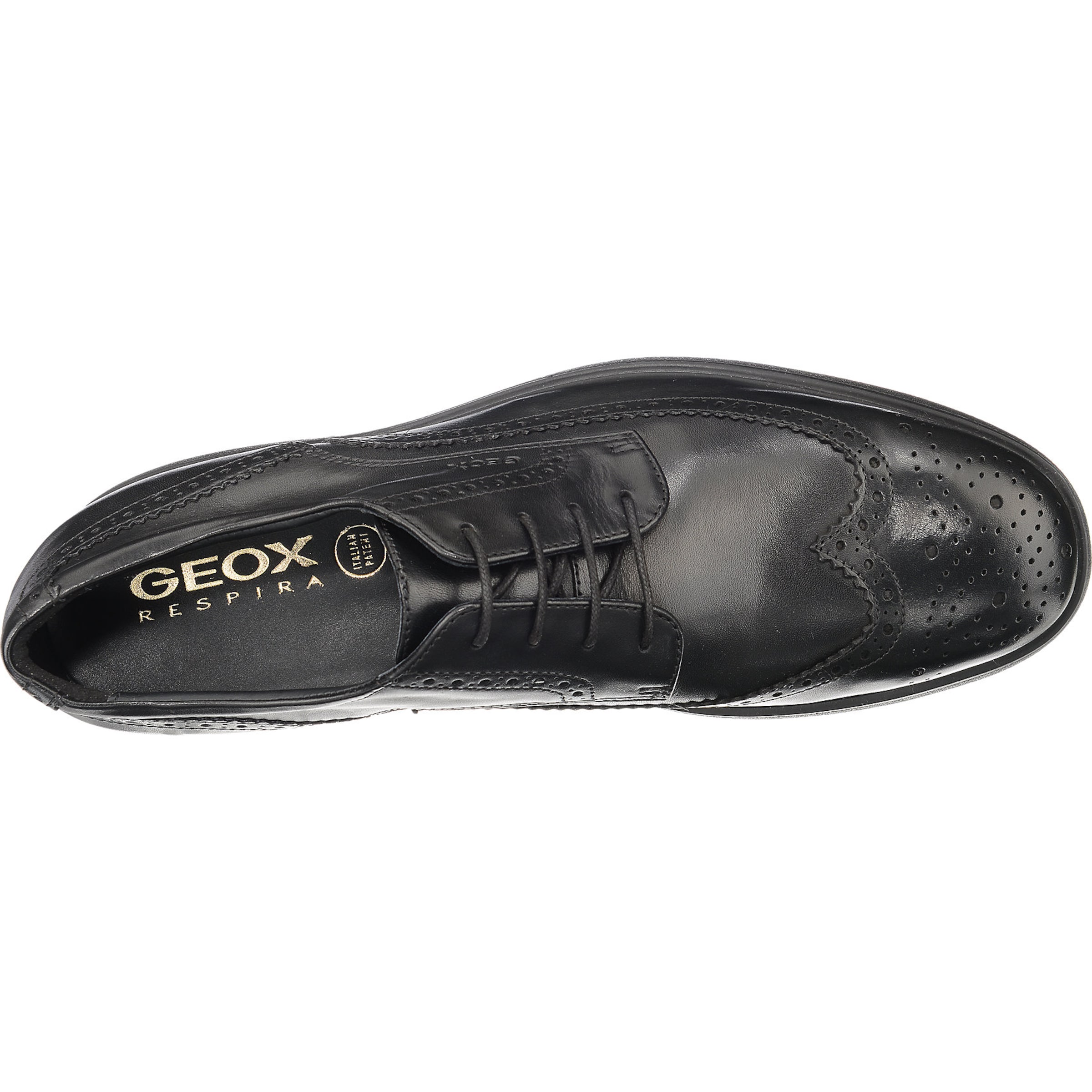 GEOX Knytsko 'Dublin' i svart