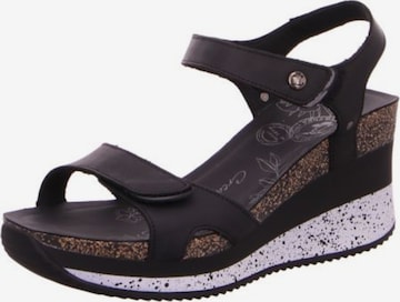 PANAMA JACK Strap Sandals 'Nica' in Black