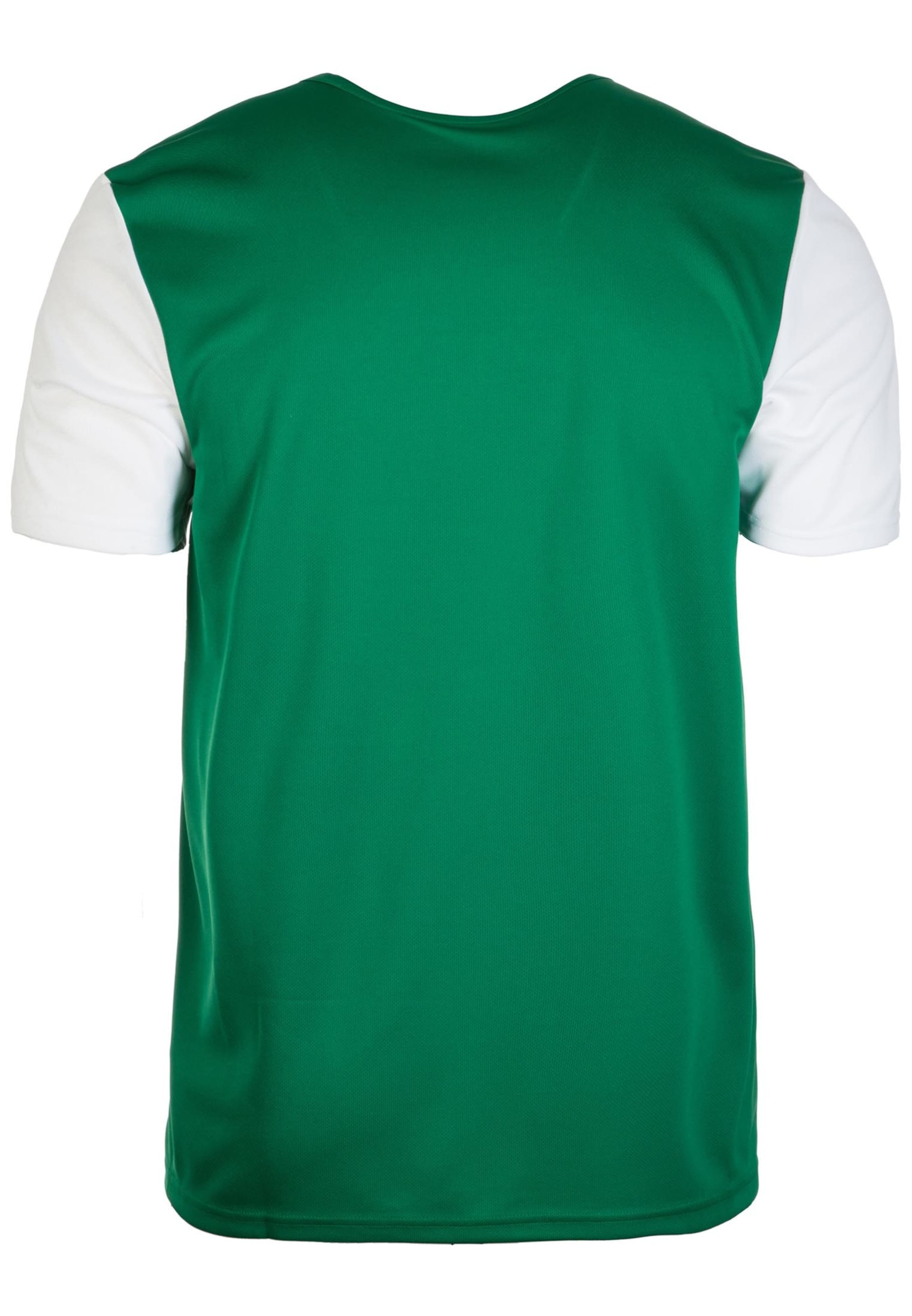 ADIDAS SPORTSWEAR Jersey 'Estro 19' in Green