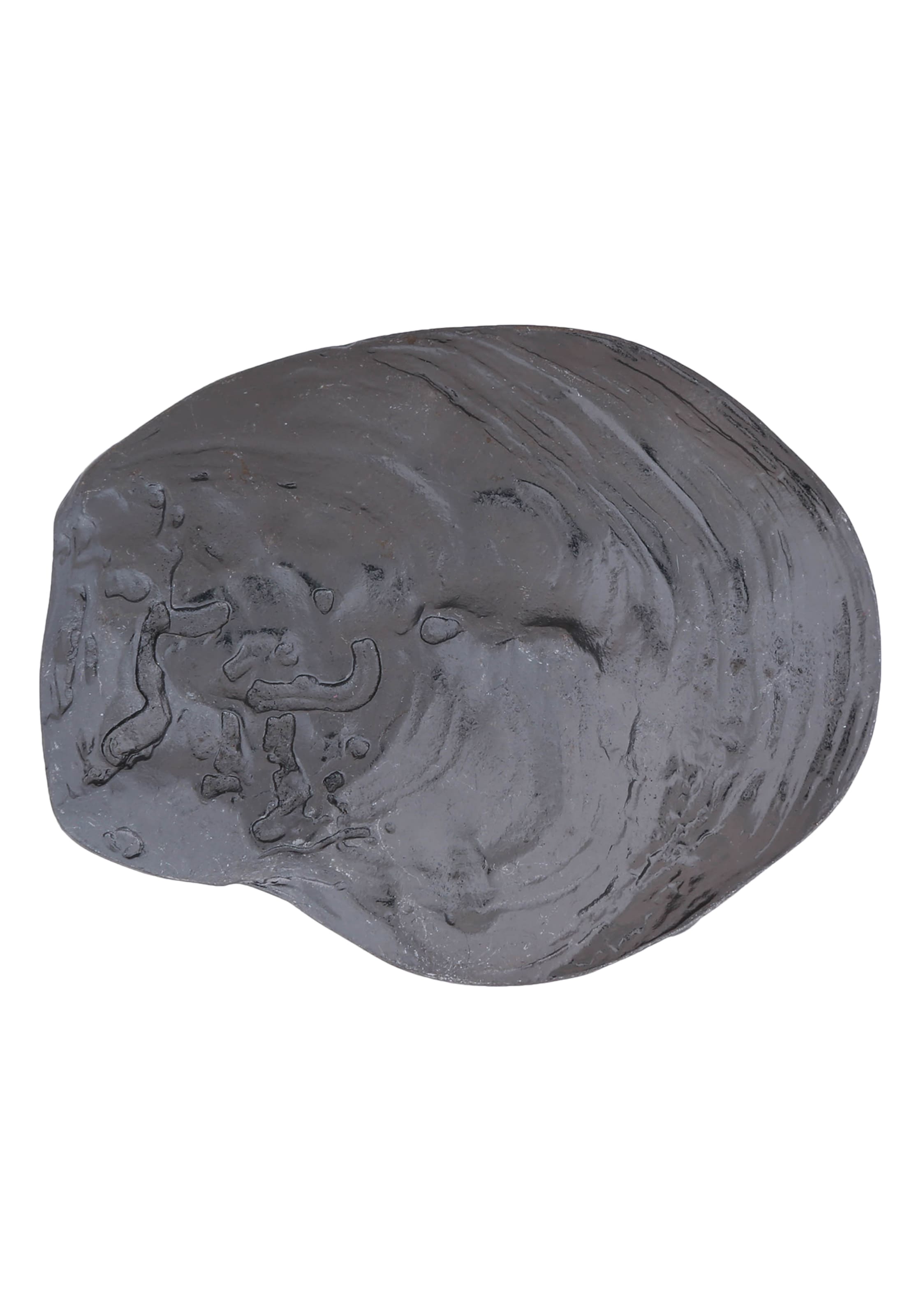 RETTUNGSRING by showroom 019° Belt in Black: front