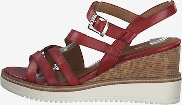 TAMARIS Sandalen met riem in Rood