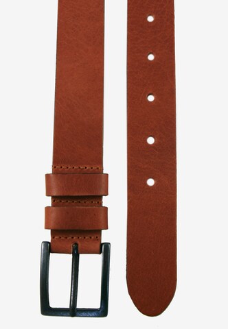 Petrol Industries Belt in Brown