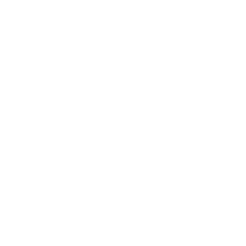 Picaldi Logo