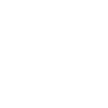 BOSS Home Logo