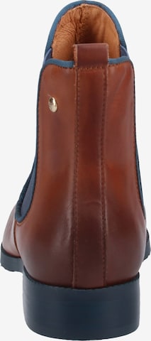 PIKOLINOS Chelsea Boots 'Royal' in Braun