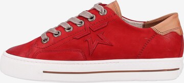 Paul Green Sneakers laag in Rood