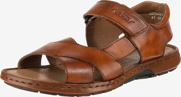 Rieker Sandals in Brown: front