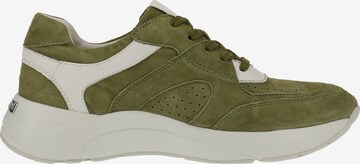 Sneaker bassa di CAPRICE in verde