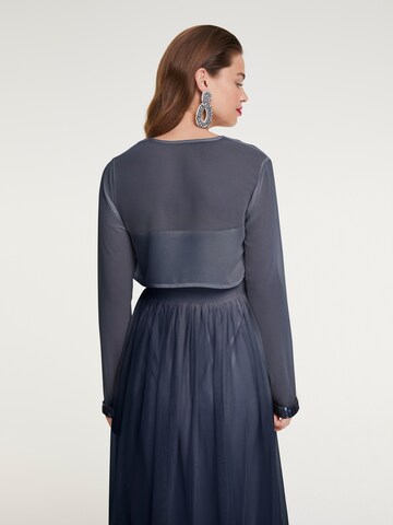 heine Bolero in Blauw: terug