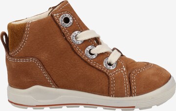 Pepino Sneakers in Brown