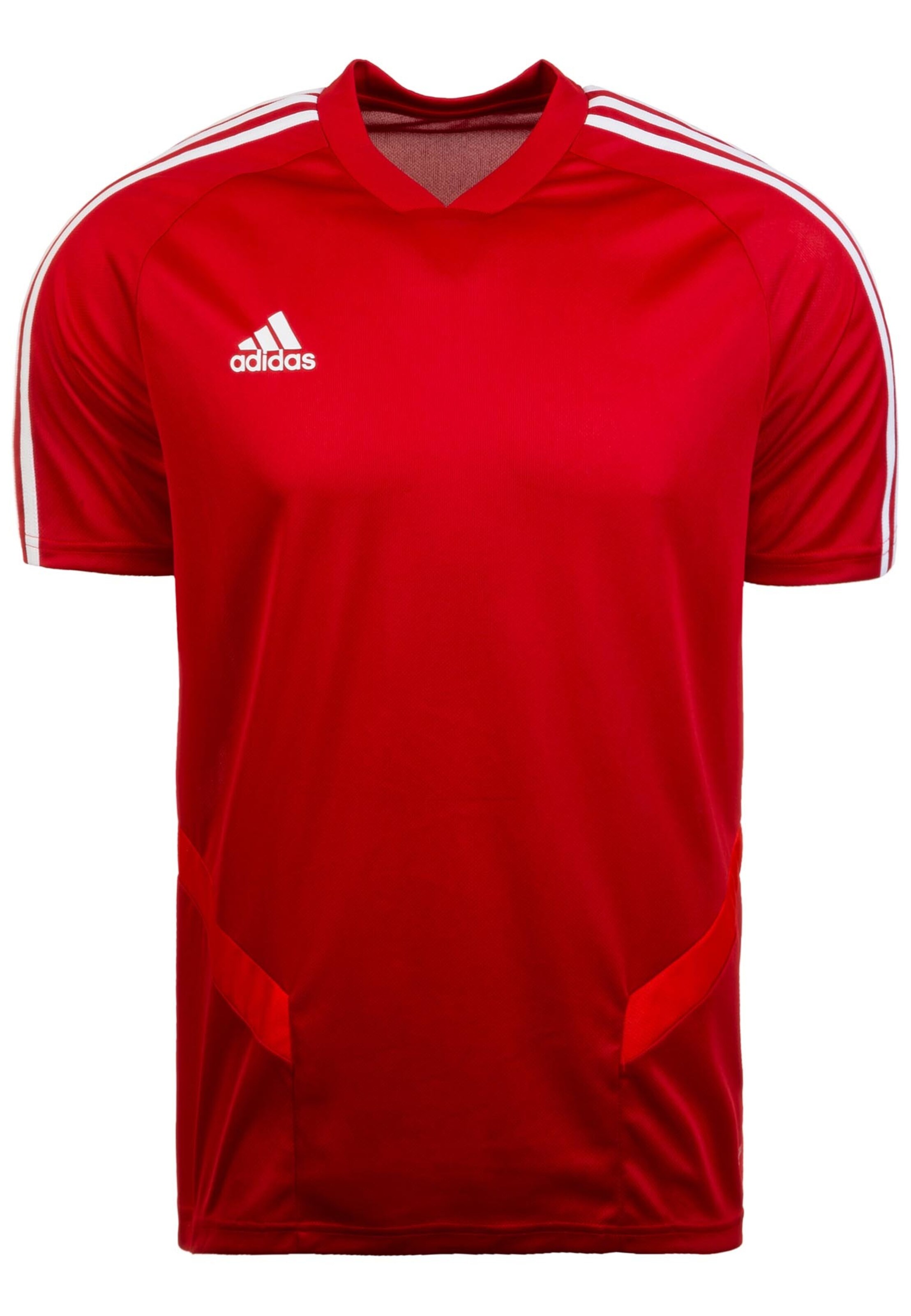 ADIDAS SPORTSWEAR Shirt 'Tiro 19' in Rot: Vorderseite